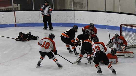 Farmington wins Division 3 state title with 2-1 victory over Sault Ste.  Marie 