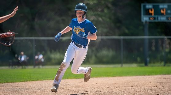 Rice Lake Youth Baseball Little League > Home